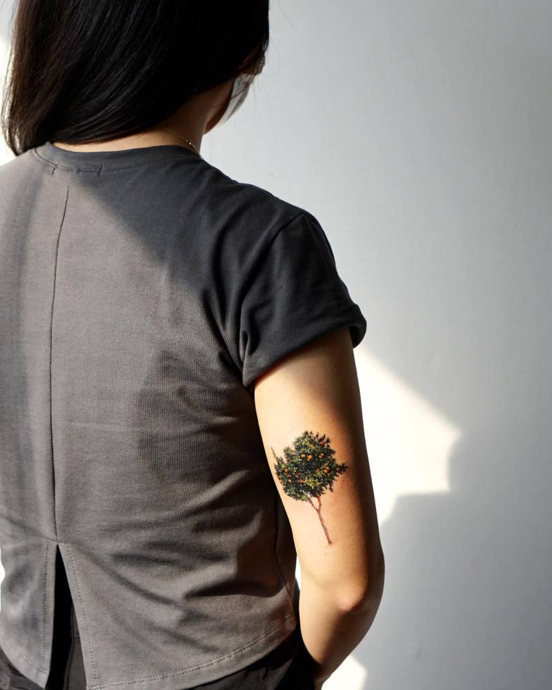 Orange tree tattoo done on the tricep.