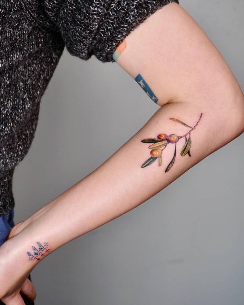 Watercolor style olive branch tattoo located on the forearm.