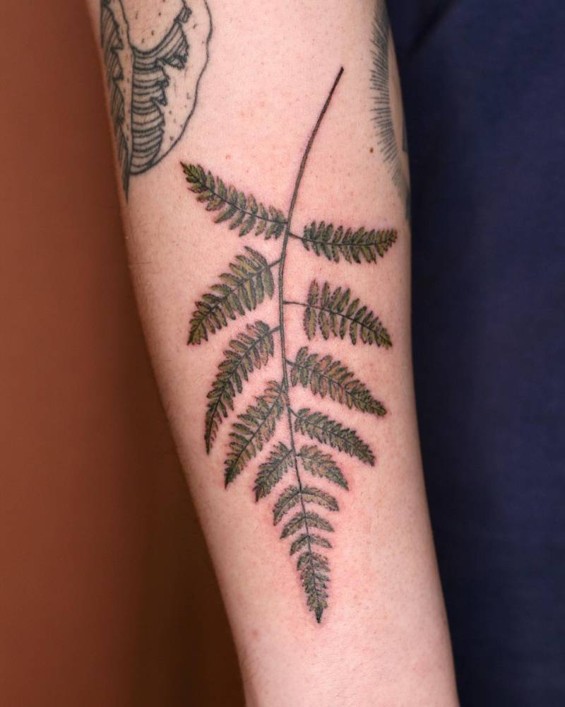 Fern leaf tattoo located on the forearm, watercolor style.