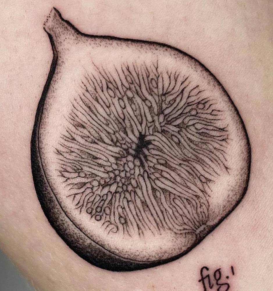 “Cross-section of a fig”.