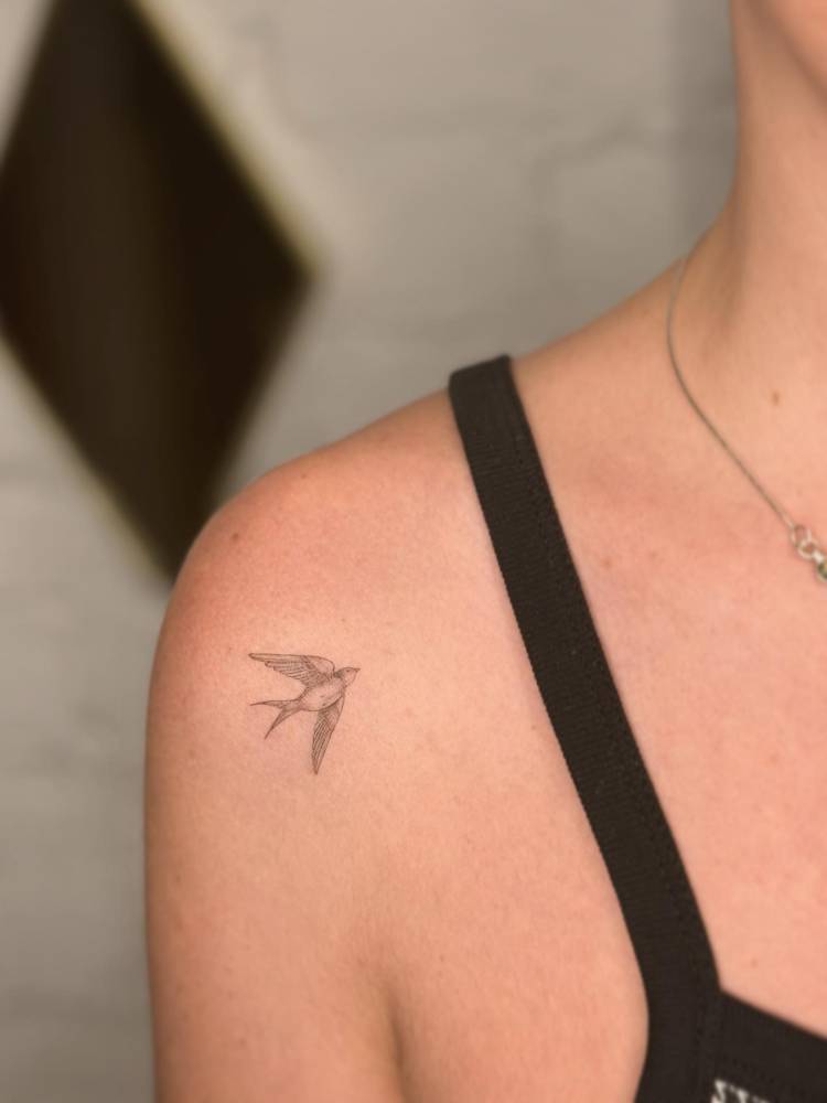 Little tattoo of a swallow in illustrative style placed on the shoulder.