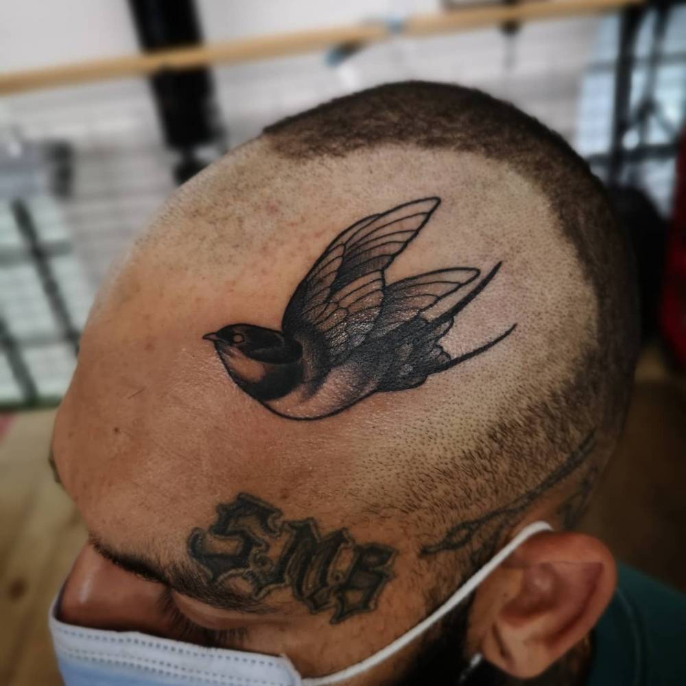 Swallow tattoo done on the head.