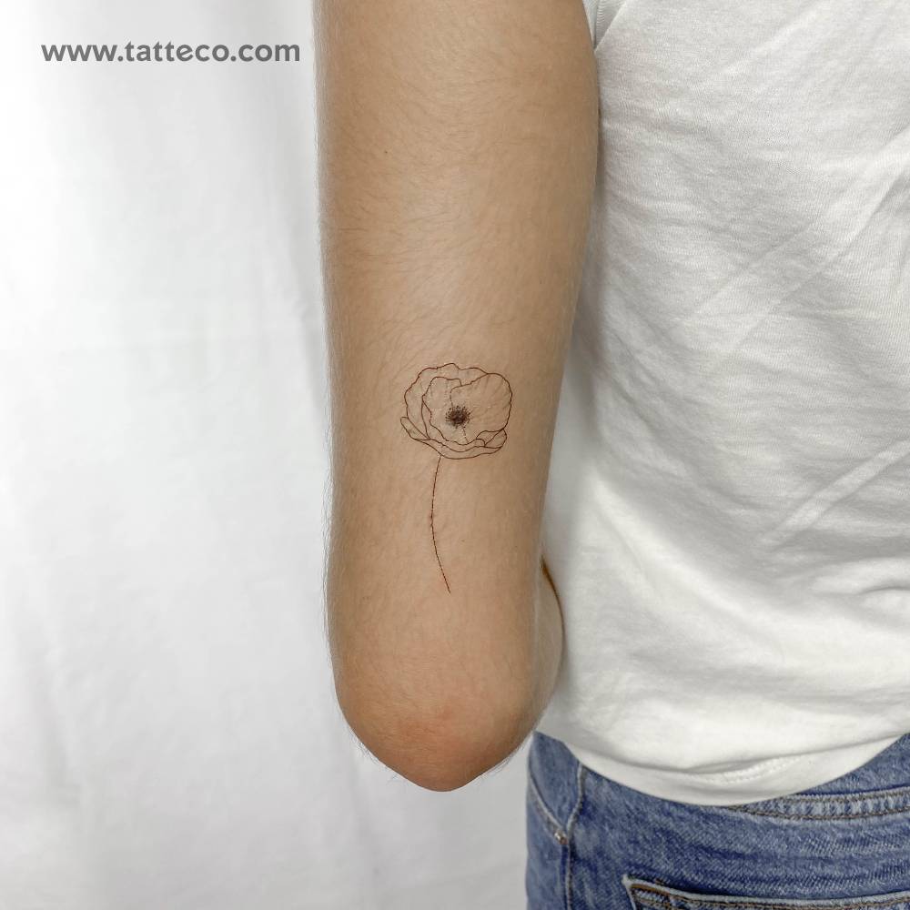 Fine Line Poppy Temporary Tattoo