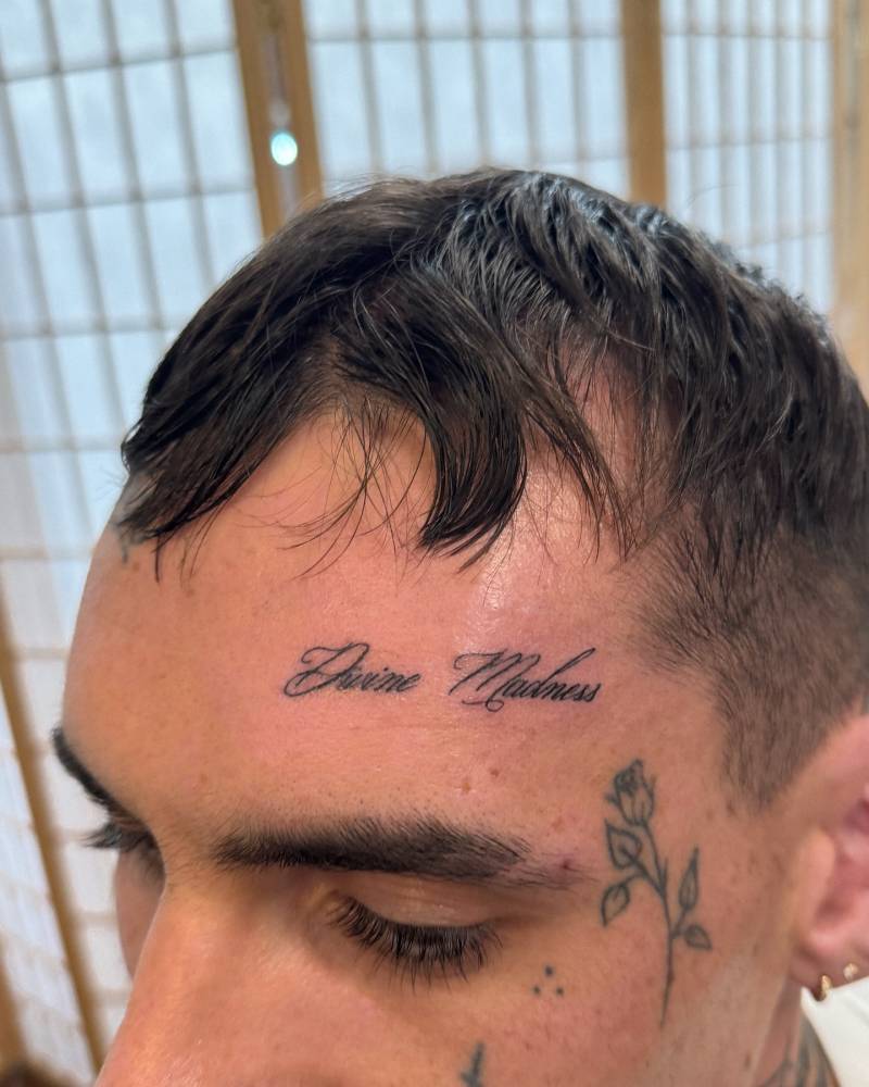 Script font "divine madness" lettering tattoo.