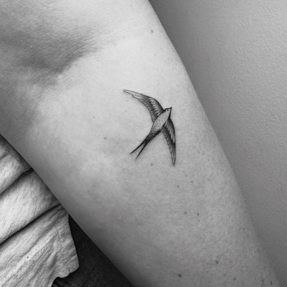 Swallow tattoo in illustrative style located on the inner forearm.