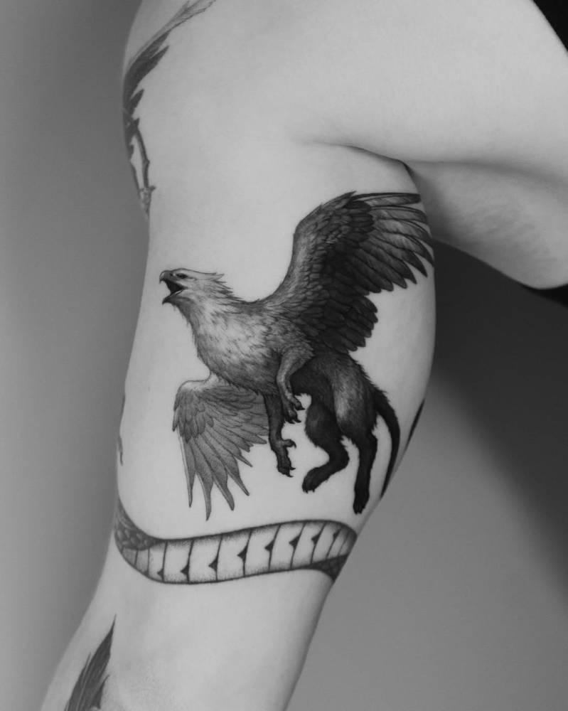 Griffin tattoo in micro-realistic style located on the inner arm.