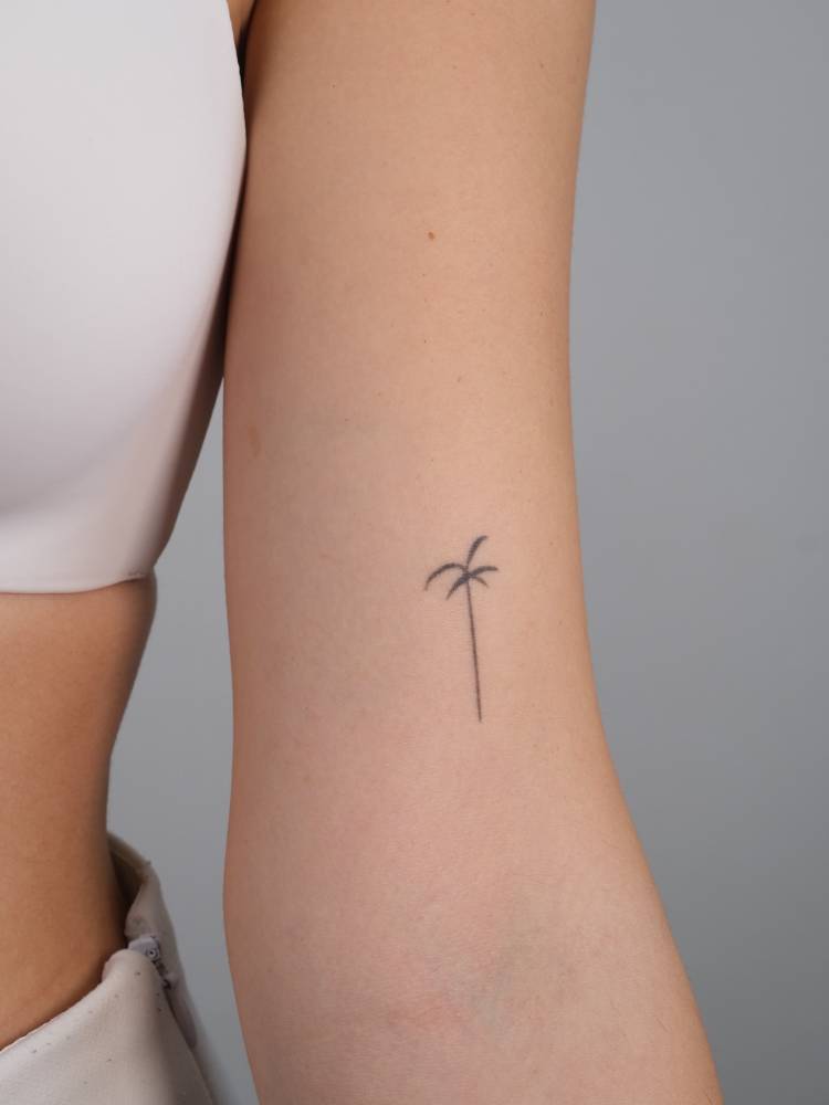 Palm tree tattoo in minimalistic style, done on the bicep.
