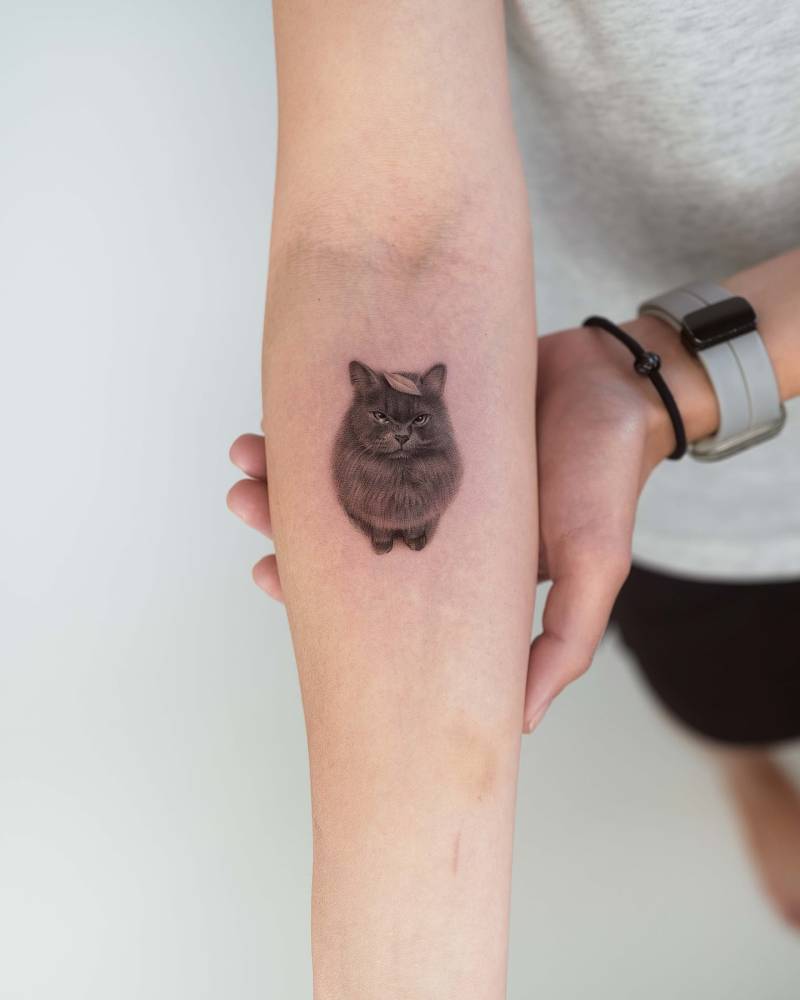 Cat portrait tattoo in micro-realistic style located on the inner forearm.