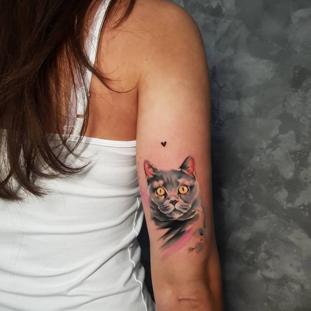 Watercolor British Shorthair cat tattoo on the tricep.