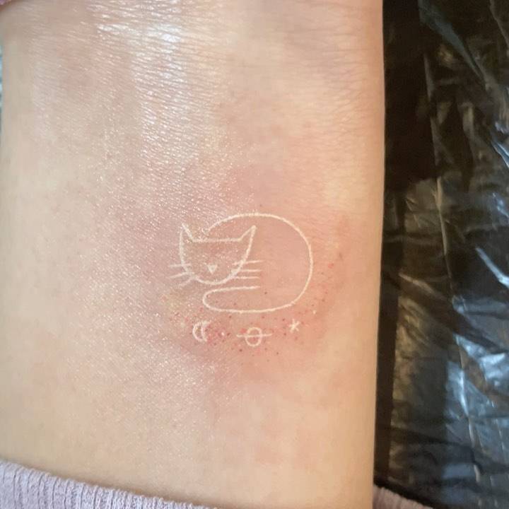 White cat + minimalistic galaxy.