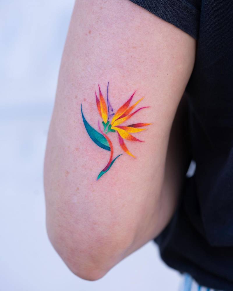 Watercolor style bird of paradise flower tattooed on the tricep.