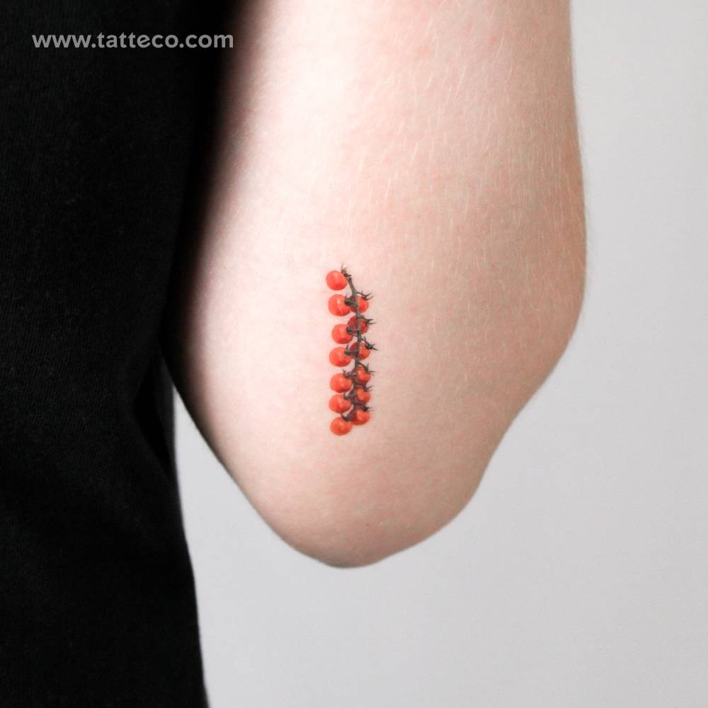 Tomato Vine Temporary Tattoo