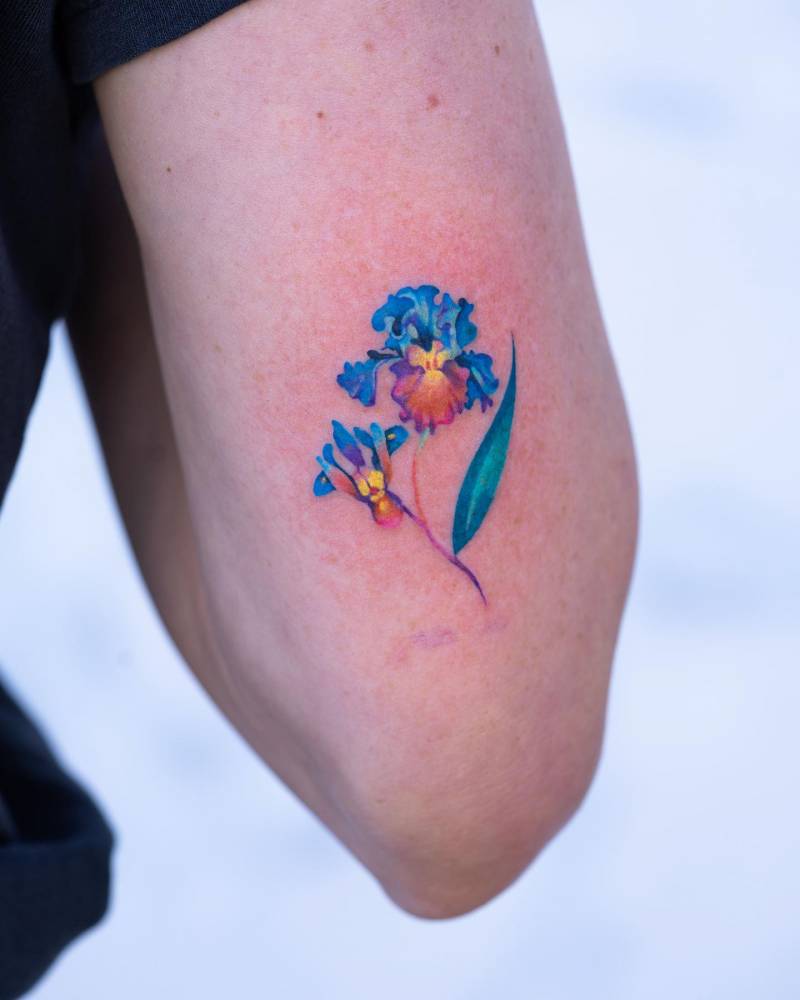 Iris flower tattoo located on the tricep, watercolor style.
