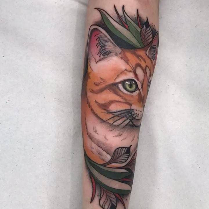 Neotraditional cat portrait tattoo on the inner forearm.