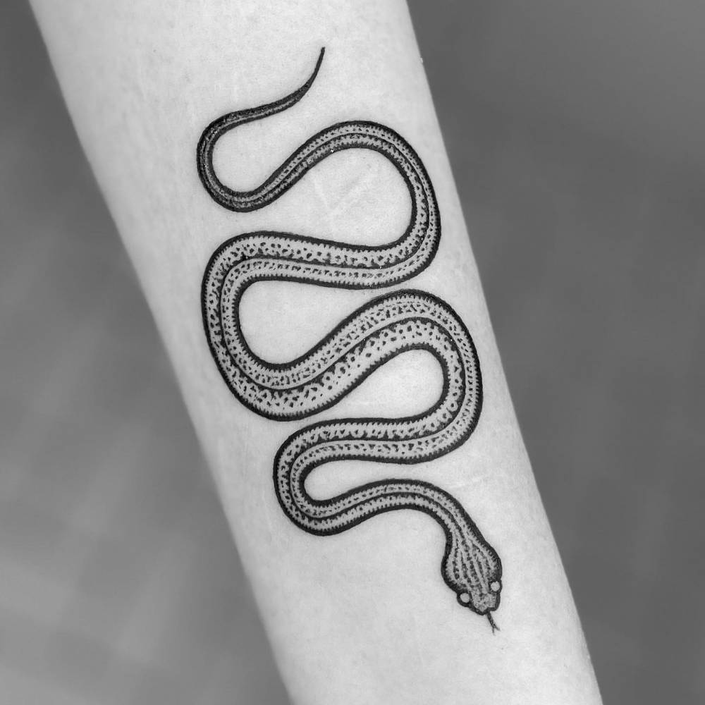 'The Danger Noodle'.