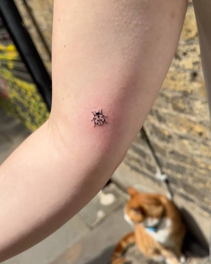 Minimalistic style ladybug tattoo located on the inner arm.