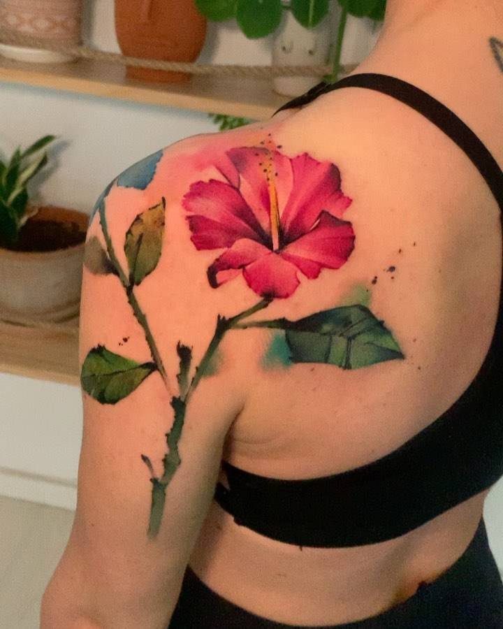 Hibiscos (cover up)