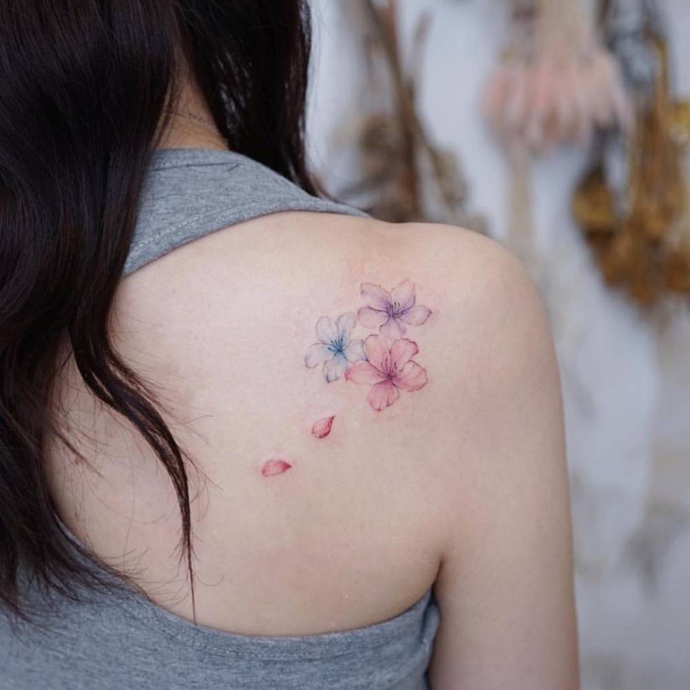Watercolor cherry blossom tattoo on the shoulder blade.