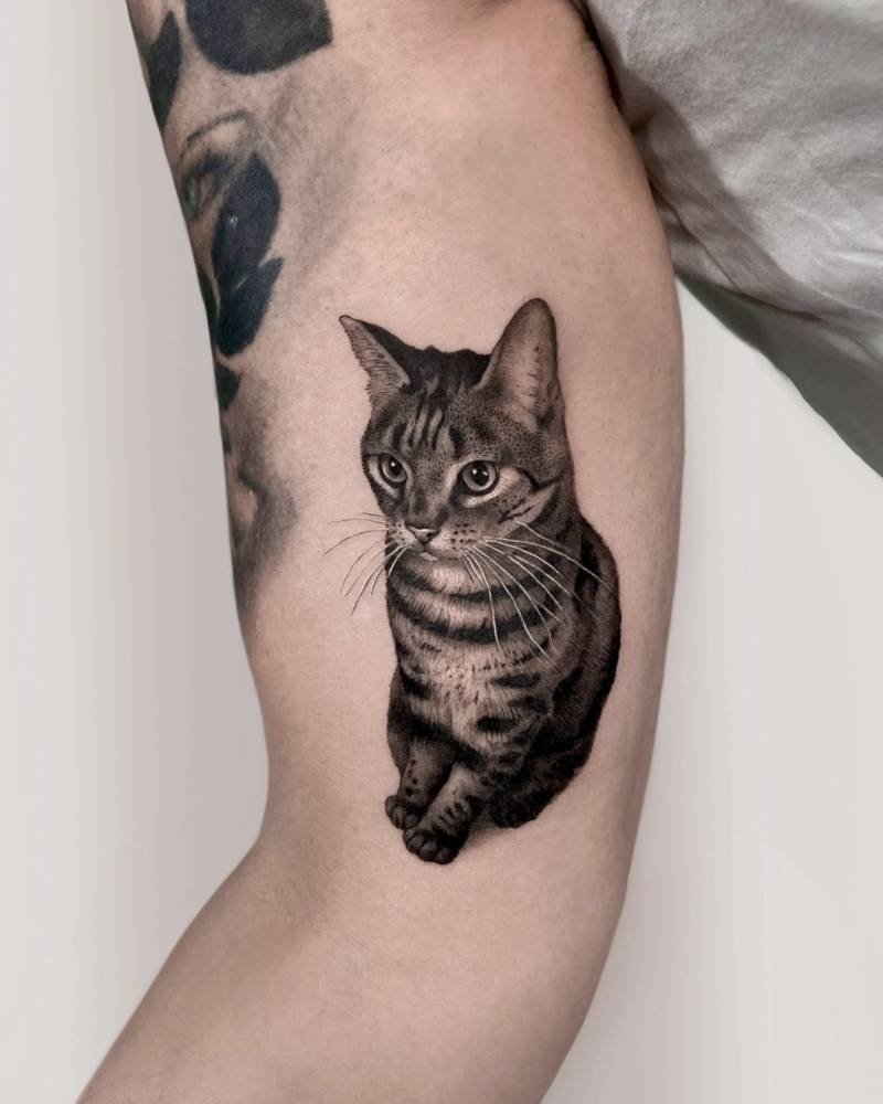 Cat portrait tattoo in micro-realistic style placed on the inner arm.