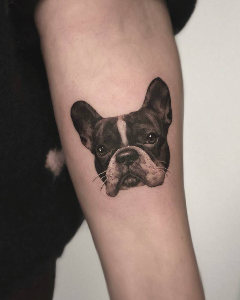 French Bulldog tattoo located on the inner forearm, micro-realistic style.