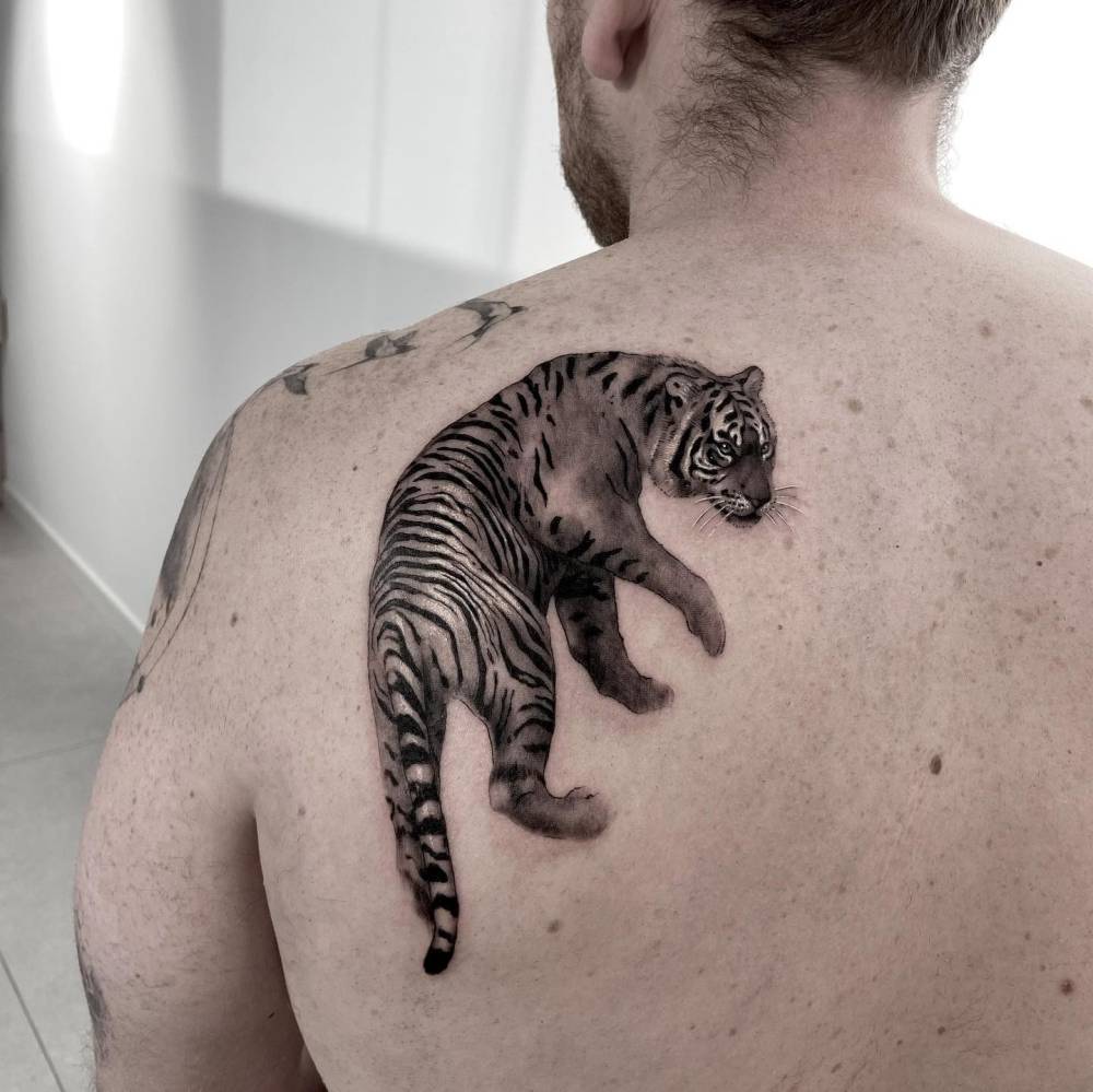 Micro-realistic style tiger tattoo located on the shoulder blade.