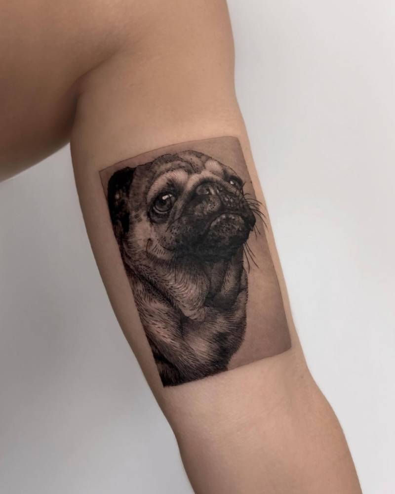Pug portrait in micro-realism tattooed on the inner arm.