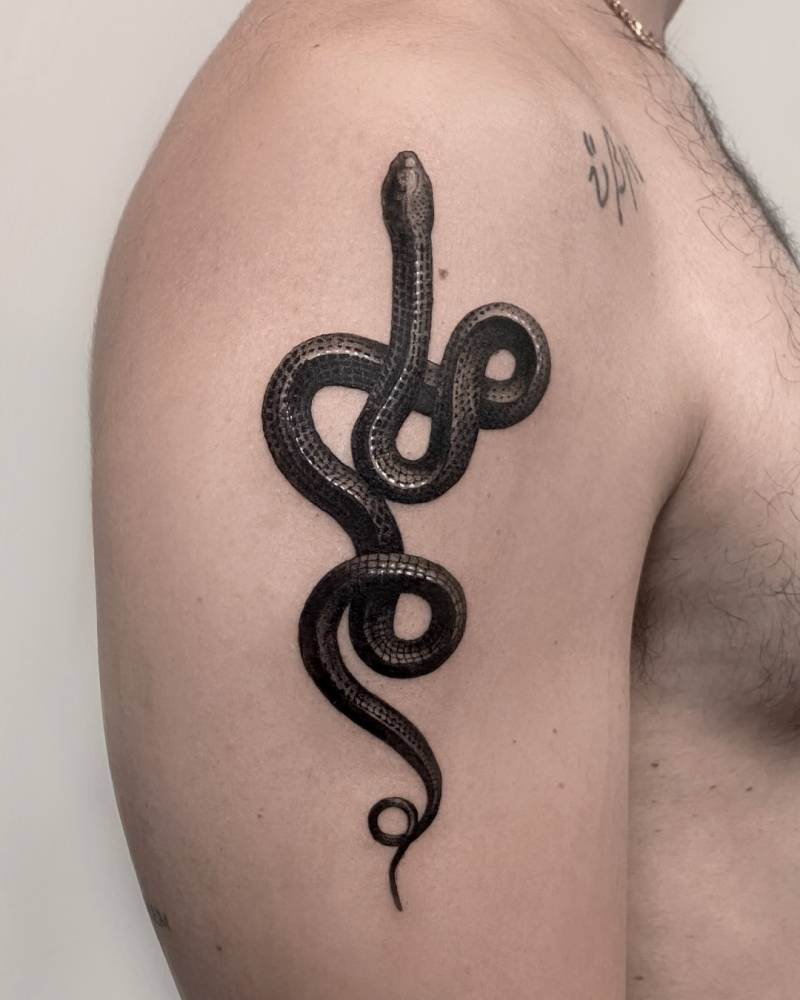 Micro-realistic style snake tattoo done on the upper arm.