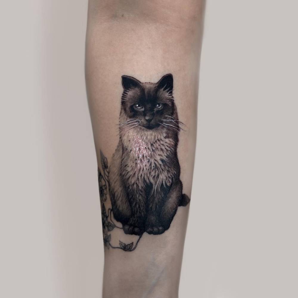 Realistic Siamese cat tattoo located on the inner forearm.