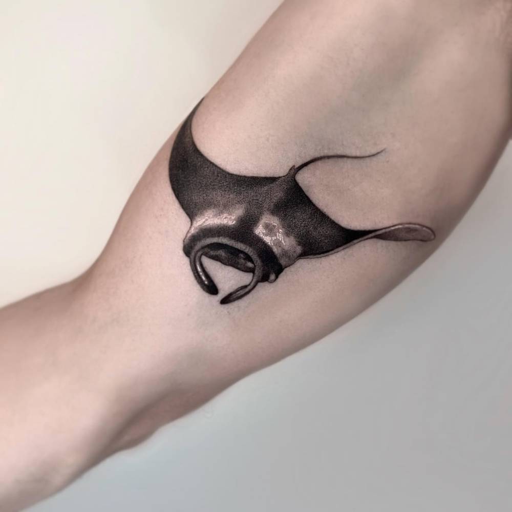 Manta ray tattoo placed on the inner arm, done in micro-realistic style.