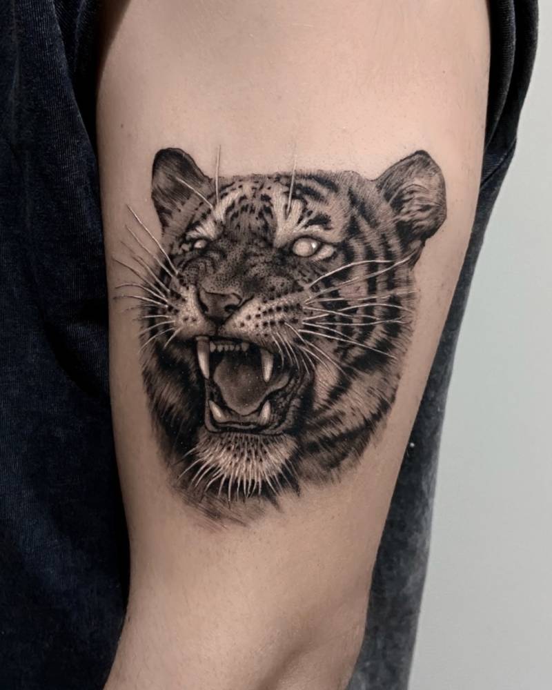 Tiger portrait tattoo in black and grey style done on the upper arm.