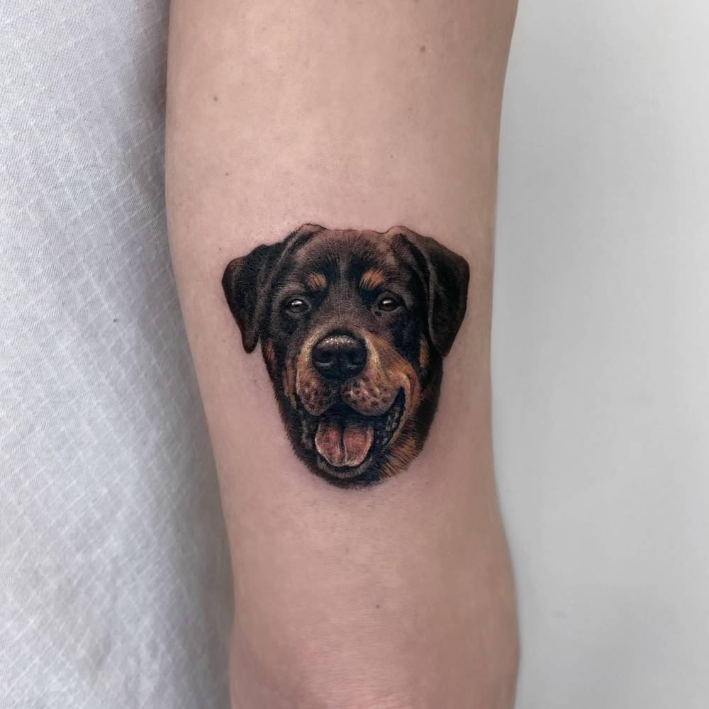 Rottweiler portrait tattoo in micro-realistic style located on the tricep.