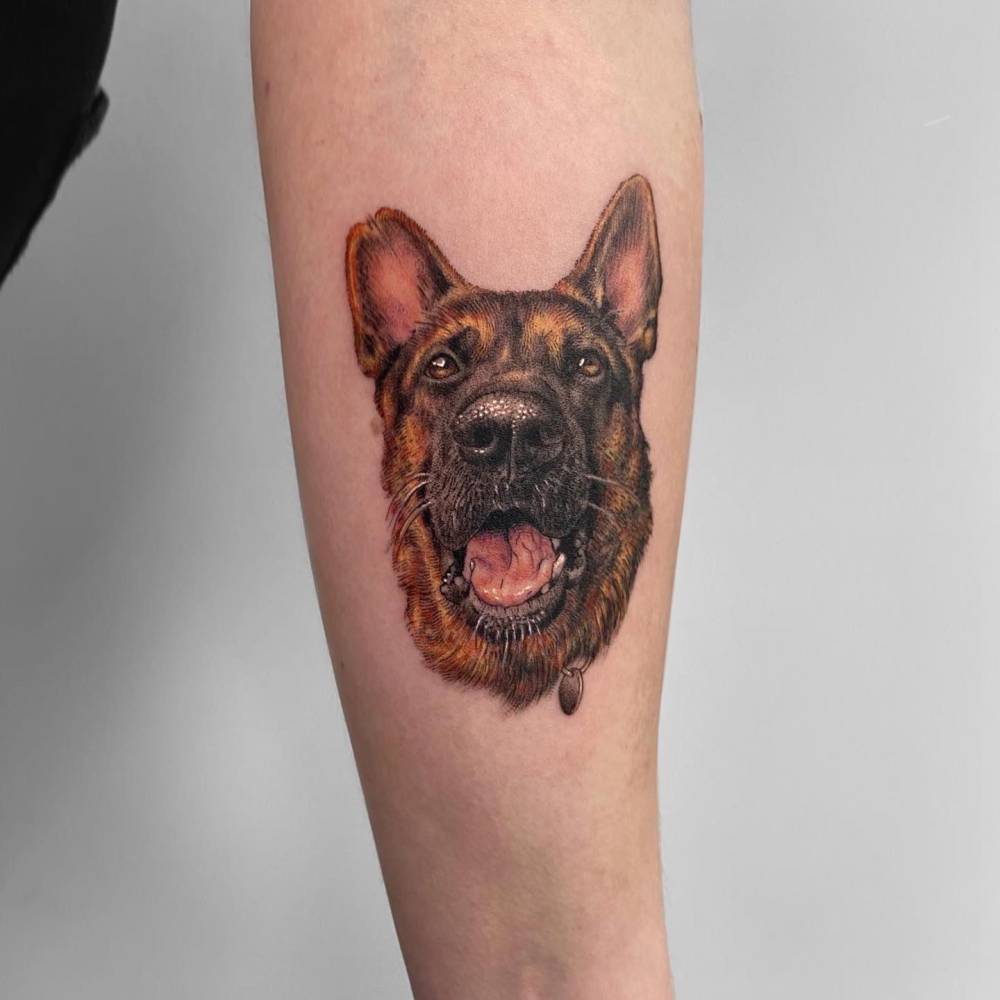 Micro-realistic style German Shepherd portrait tattoo located on the inner forearm.