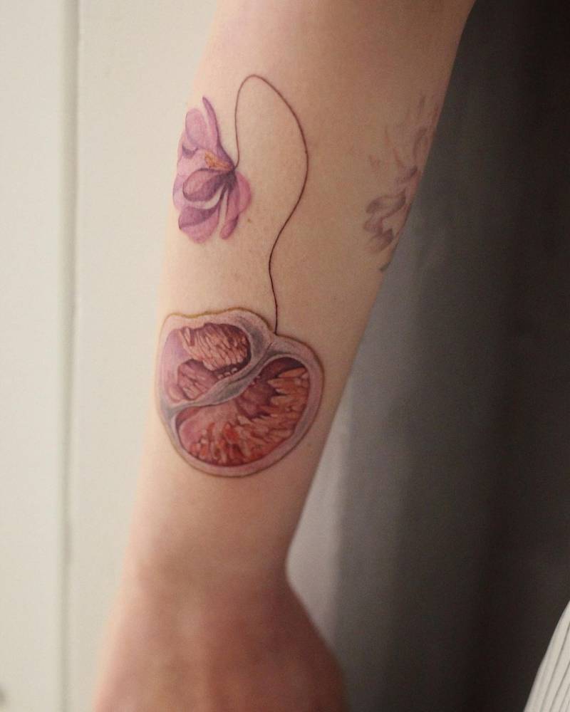 Watercolor pomelo tattoo on the forearm