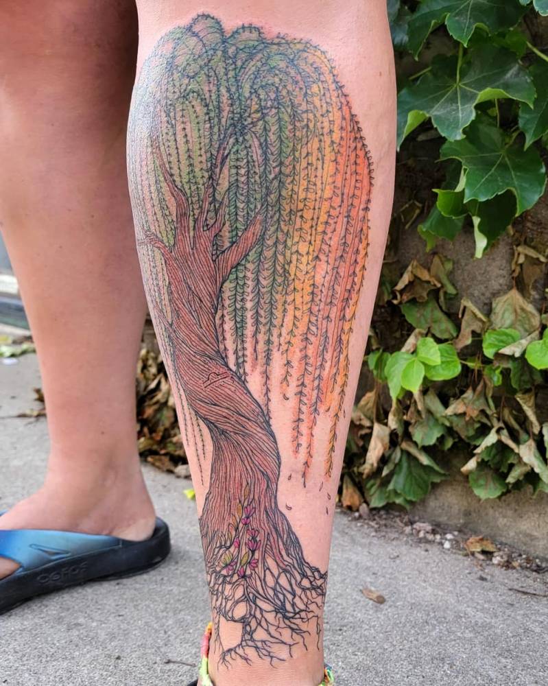 Freehand weeping willow tree tattoo on the shin.
