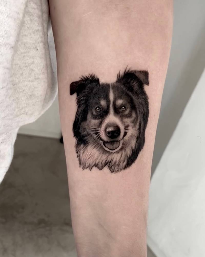 Border Collie portrait tattoo in micro-realistic style located on the inner forearm.