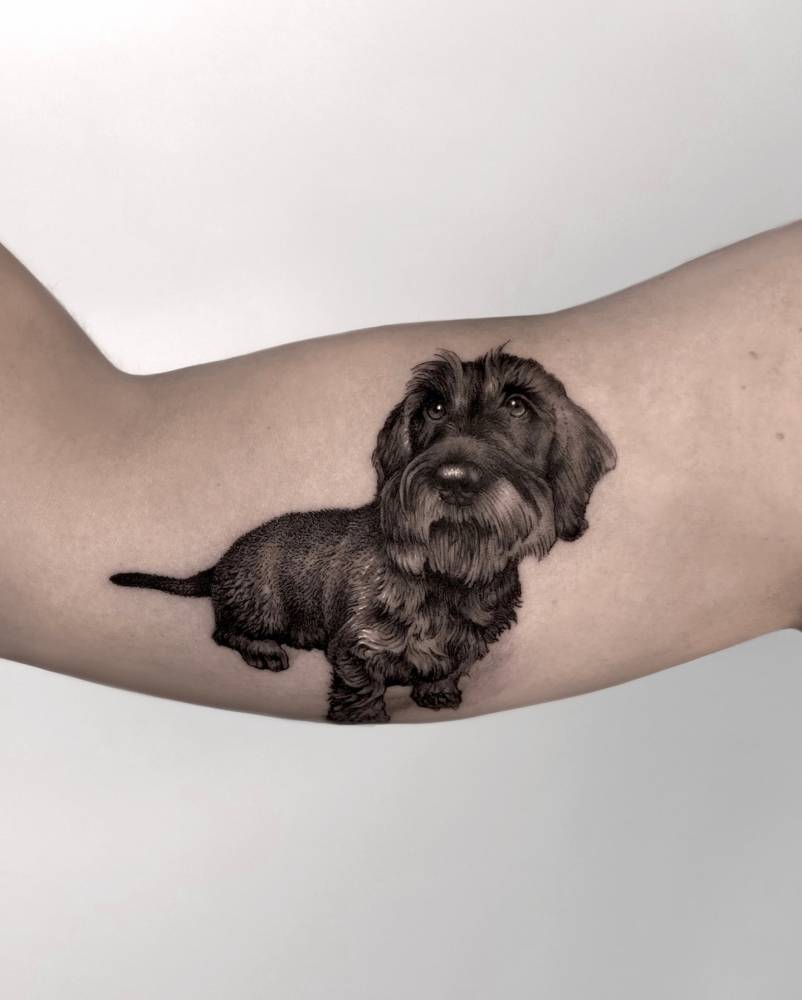 Long-haired dachshund portrait tattoo in micro-realistic style placed on the inner arm.
