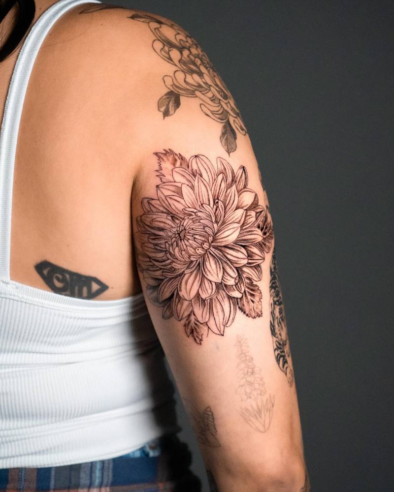 Illustrative style chrysanthemum tattoo located on the tricep.