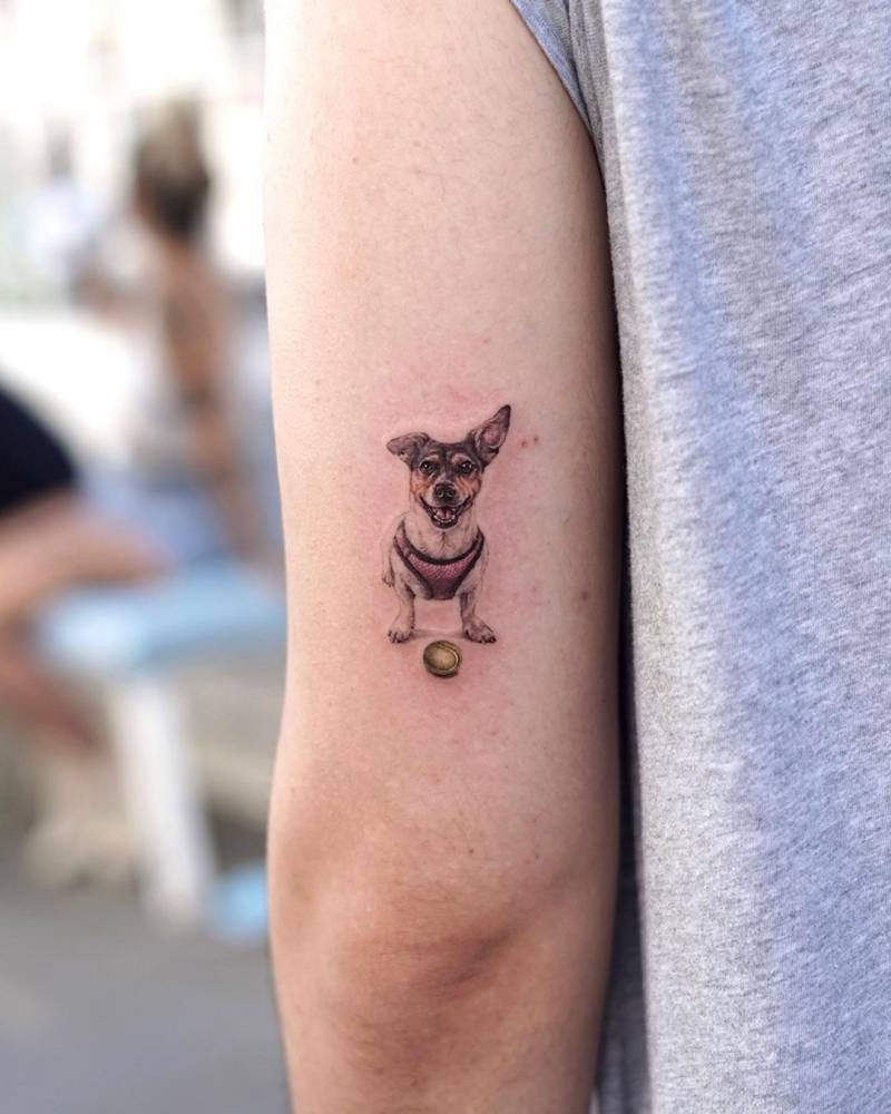 Jack Russell tattoo done on the tricep, micro-realistic style.