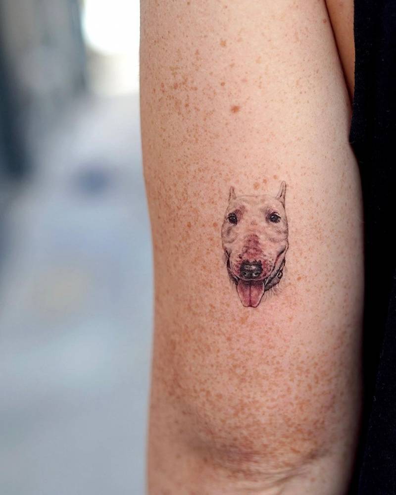 Micro-realistic style Bull Terrier tattoo located on the tricep.