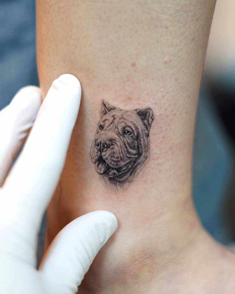 Shar Pei portrait tattoo located on the ankle.