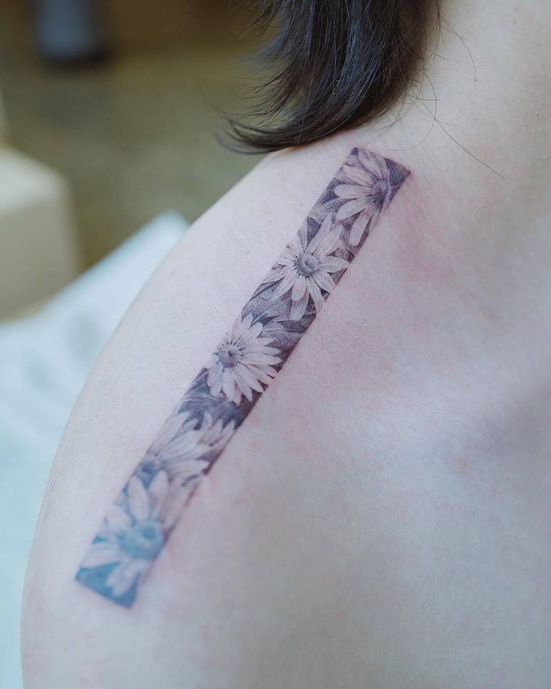 Daisies blooming inside