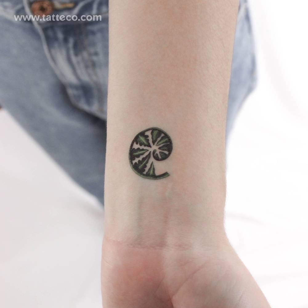 Young Fern By Ann Lilya Temporary Tattoo