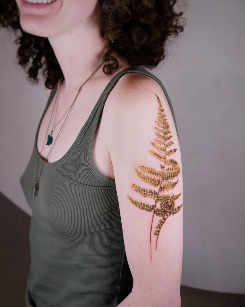 Fern frond tattoo in watercolor style located on the upper arm.