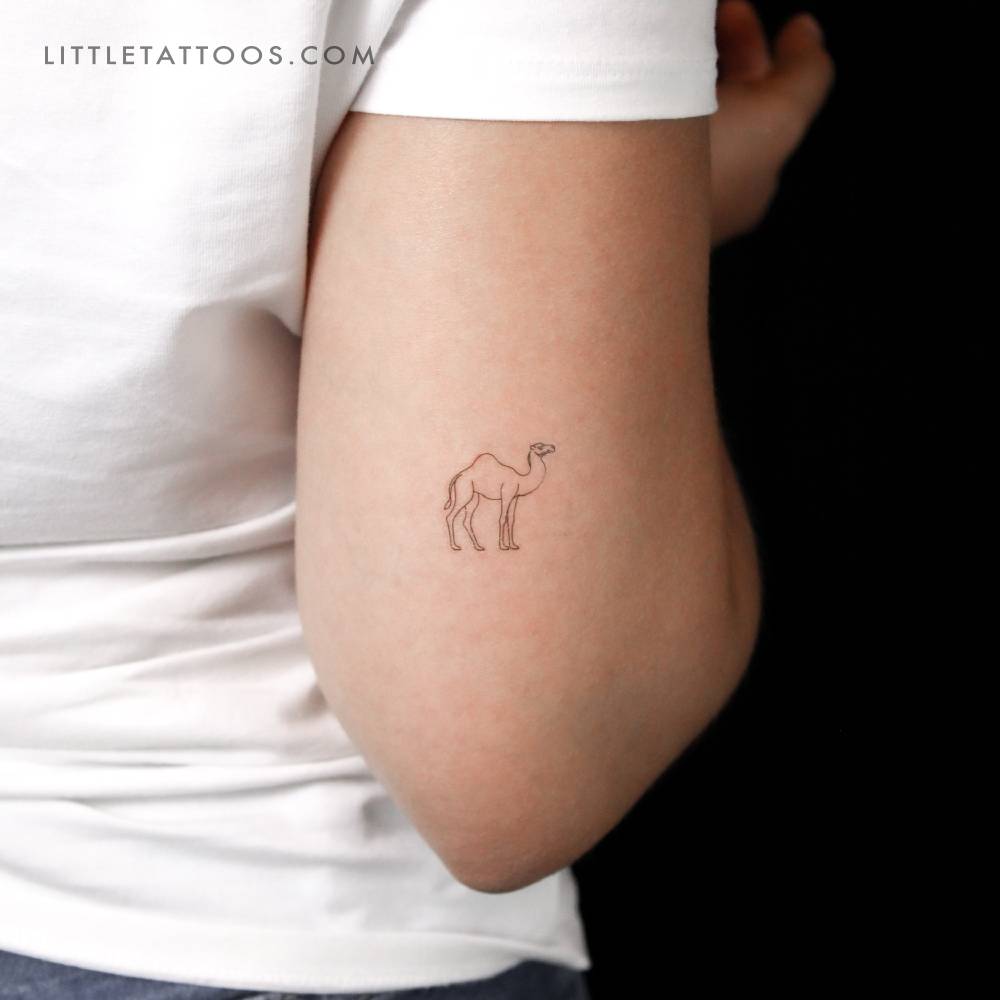 Camel temporary tattoo in fine line style done on the tricep.