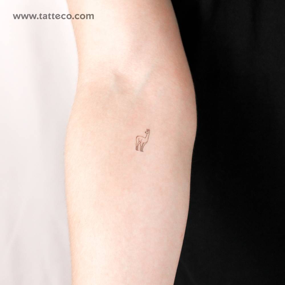 Small vicuña temporary tattoo located on the inner forearm.