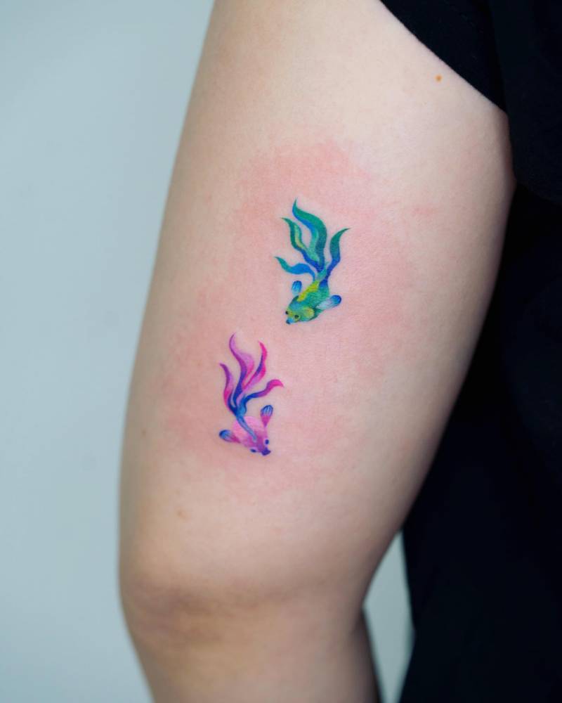 Betta Splendens tattoo located on the tricep, watercolor style.