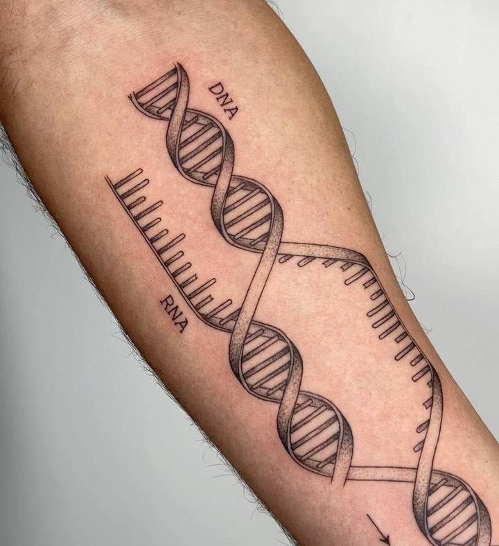 DNA scientific illustration tattoo located on the inner forearm.