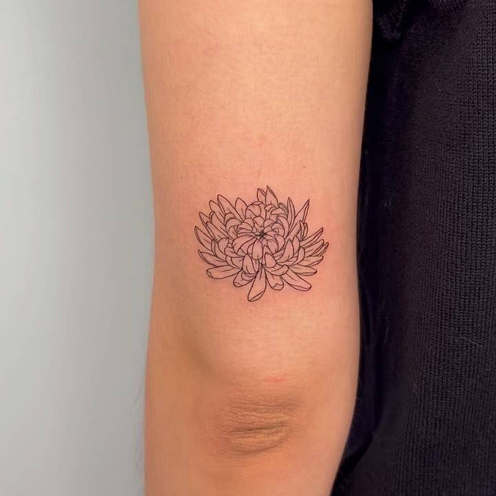 Fine line style chrysanthemum flower tattooed on the tricep.