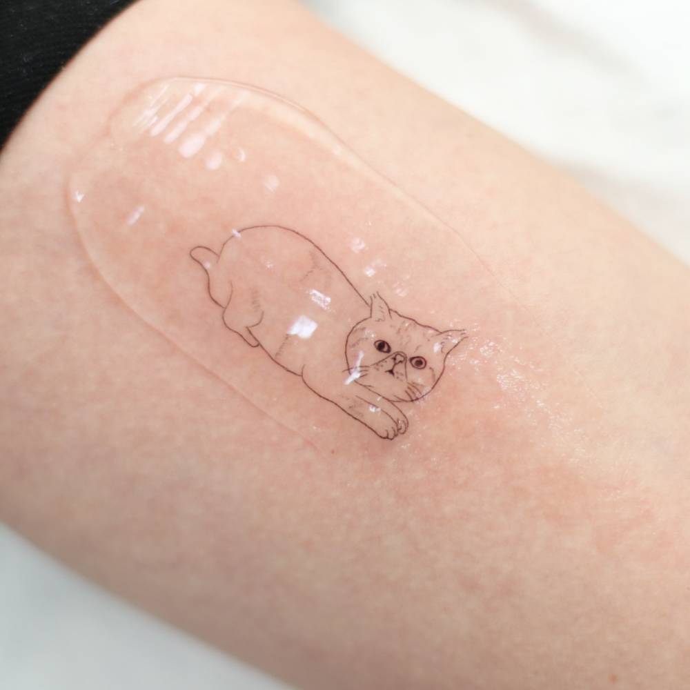 Persian cat tattoo in fine line style located on the inner arm.