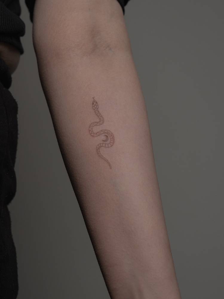 Single needle snake tattoo placed on the inner forearm.